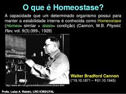 homeostase